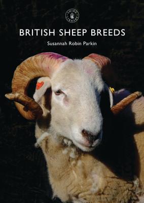 British Sheep Breeds (Shire Library) By Susannah Parkin Cover Image