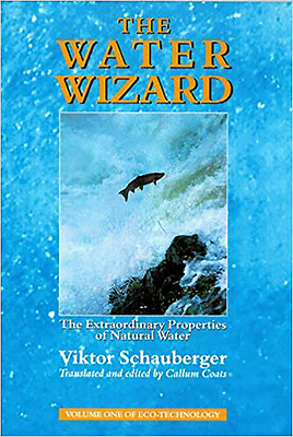 The Water Wizard: The Extraordinary Properties of Natural Water (Eco-Technology #1)