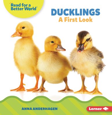 Ducklings: A First Look Cover Image
