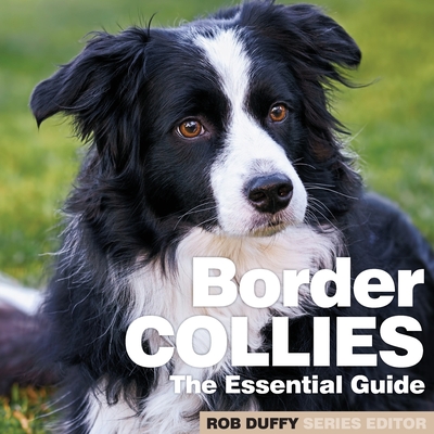 Border best sale collie guide