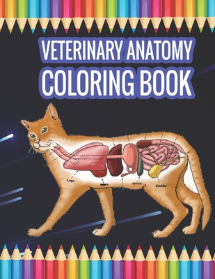 Veterinary Anatomy Coloring book: Animal Anatomy Coloring Book (Paperback)  | BookPeople