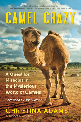 Camel Crazy: A Quest for Miracles in the Mysterious World of Camels By Christina Adams, Joel Salatin (Foreword by) Cover Image