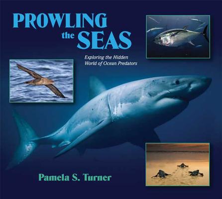 Prowling The Seas Exploring The Hidden World Of Ocean Predators Indiebound Org