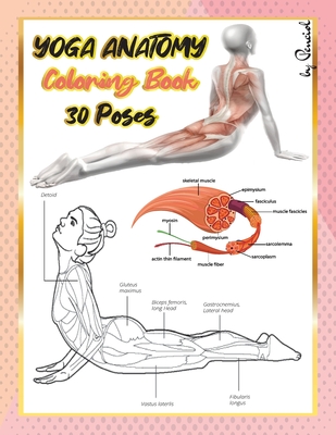 Download Yoga Anatomy Coloring Book An Adult Coloring Book With 30 Yoga Poses Anatomy Yoga Book Paperback University Press Books Berkeley
