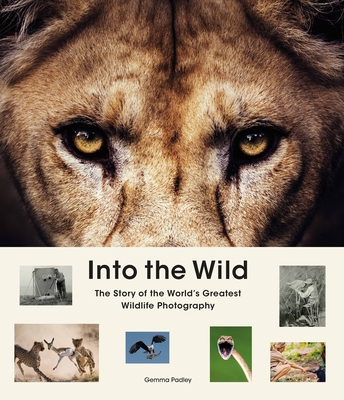 Cover for Into the Wild