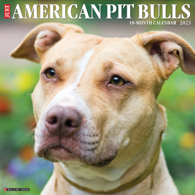 Just American Pit Bull Terriers 2023 Wall Calendar By Willow Creek Press Cover Image
