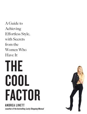 Cover for The Cool Factor