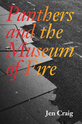 Cover for Panthers and the Museum of Fire