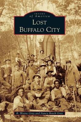 Lost Buffalo City Cover Image