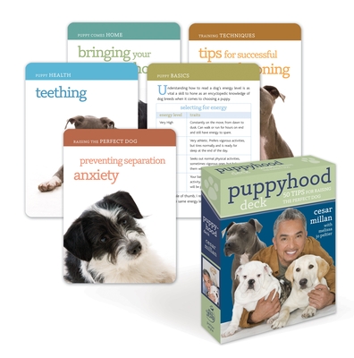 Cesar millan perfect puppy sale