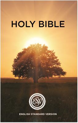ESV English Standard Version Outreach Bible By Crossway (Translator) Cover Image