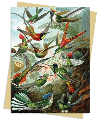Ernst Haeckel: Hummingbirds Greeting Card Pack: Pack of 6 (Greeting Cards)