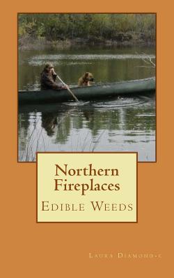 Northern Fireplaces By Laura C. Diamond-C Cover Image