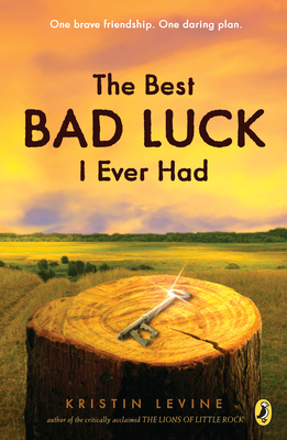 Cover for The Best Bad Luck I Ever Had