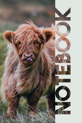 Notebook: Aberdeen Angus Practical Composition Book for Highland Cow Farmers Cover Image