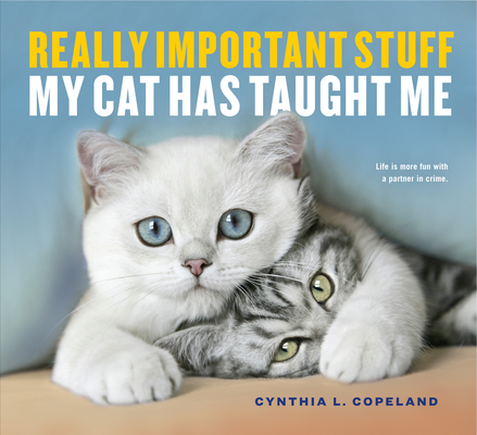 Really Important Stuff My Cat Has Taught Me (Bargain Edition)