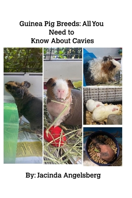 Guinea Pig Breeds: All You Need to Know About Cavies