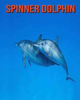Spinner Dolphin Facts