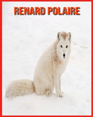 Renard Polaire: Images Etonnantes & Informations Amusantes Concernant les Animaux dans la Nature Cover Image