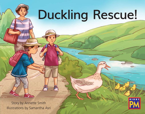 Duckling Rescue: Leveled Reader Green Fiction Level 12 Grade 1-2 (Rigby PM) Cover Image
