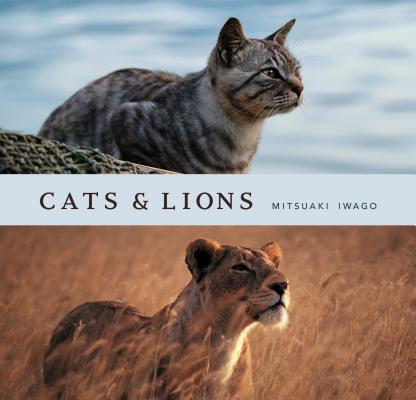 Cats & Lions By Mitsuaki Iwago Cover Image