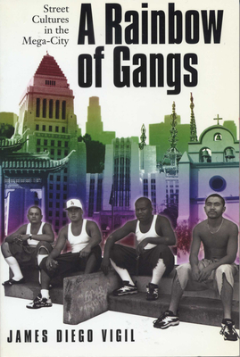 A Rainbow of Gangs: Street Cultures in the Mega-City Cover Image