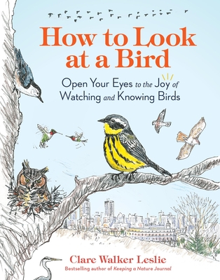 How to Look at a Bird: Open Your Eyes to the Joy of Watching and Knowing Birds By Clare Walker Leslie Cover Image