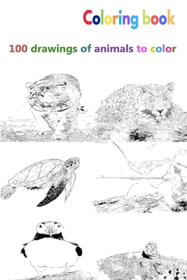 colorful drawings of animals