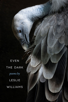 Even the Dark (Crab Orchard Series in Poetry)