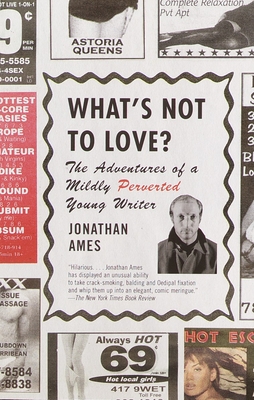 What's Not to Love?: The Adventures of a Mildly Perverted Young Writer By Jonathan Ames Cover Image