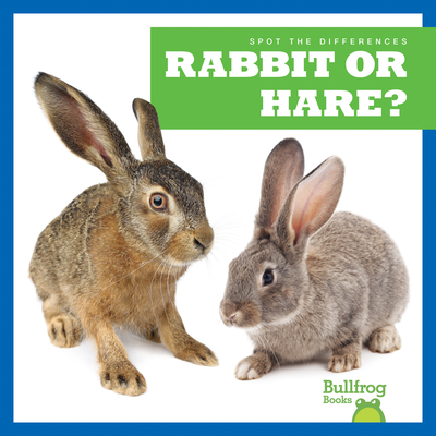 Rabbit or Hare? (Spot the Differences)