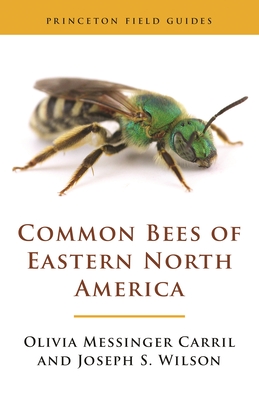 Common Bees of Eastern North America (Princeton Field Guides #123) Cover Image