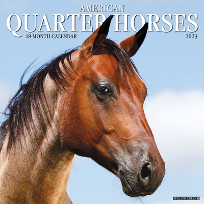 American Quarter Horses 2023 Wall Calendar By Willow Creek Press Cover Image