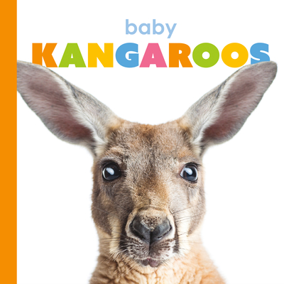 Baby Kangaroos (Starting Out) Cover Image