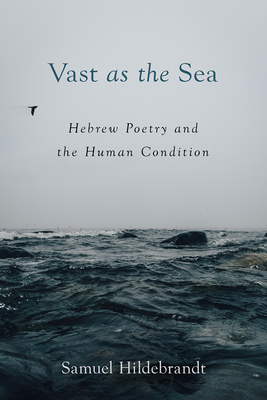 Vast as the Sea: Hebrew Poetry and the Human Condition Cover Image