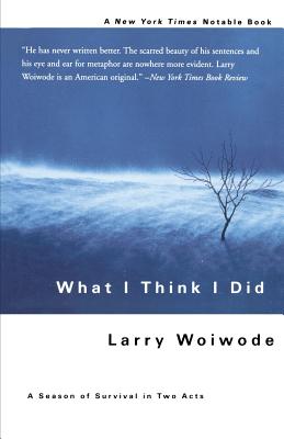 Cover for What I Think I Did