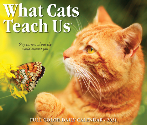 What Cats Teach Us 2021 Box Calendar By Willow Creek Press Cover Image