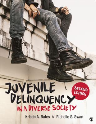 Juvenile Delinquency in a Diverse Society Cover Image
