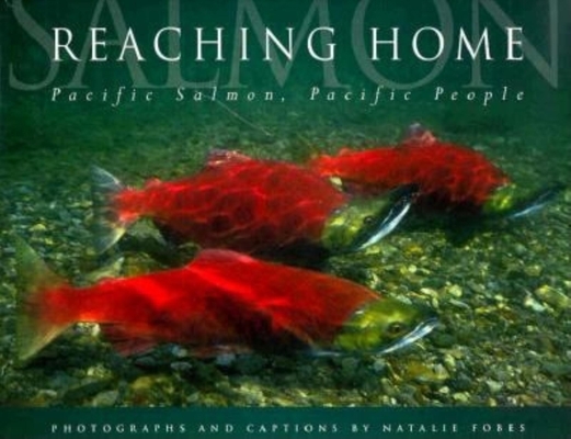 Cover for Reaching Home