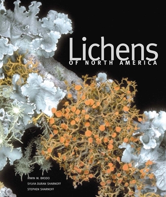 Lichens of North America By Irwin M. Brodo, Sylvia Duran Sharnoff, Stephen Sharnoff Cover Image
