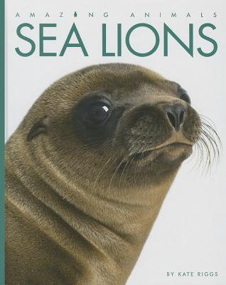 Sea Lions (Amazing Animals (Creative Education Hardcover)) By Kate Riggs Cover Image