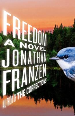 Freedom By Jonathan Franzen, David LeDoux (Read by) Cover Image