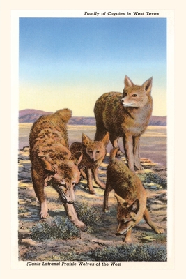 Vintage Journal Coyote Family By Found Image Press (Producer) Cover Image