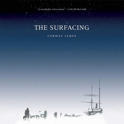 Cover for The Surfacing