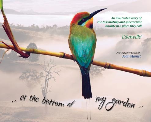 at the bottom of my garden: An illustrated story of the fascinating and spectacular birdlife in a place called Edenville Cover Image