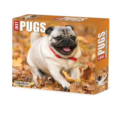 Pugs 2024 6.2 X 5.4 Box Calendar Cover Image
