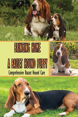 how old do basset hounds start to howl