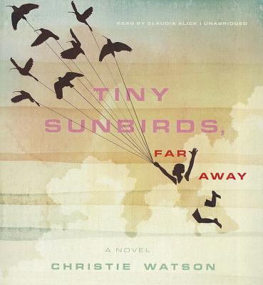 Cover for Tiny Sunbirds, Far Away