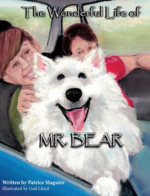 The Wonderful Life of Mr. Bear By Patrice Maguire, Gail Lloyd (Illustrator) Cover Image