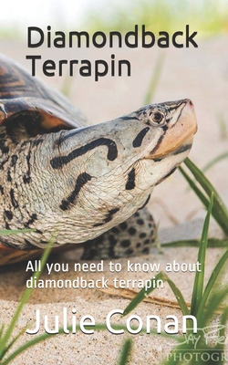 diamondback terrapin: All you need to know about diamondback terrapin